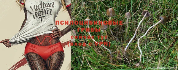 крисы Богданович